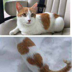 Lost 2 Finn (UT)