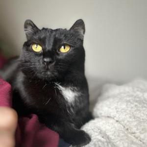 Lost 2 Luna (WA)