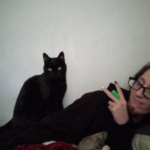 Image of Salem, Lost Cat