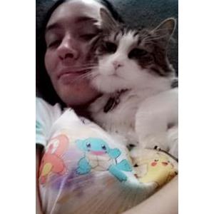 Lost Cat Tesla
