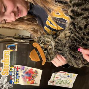 Lost Cat Georgie