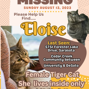 Lost Cat Eloise