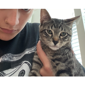Image of Hublot Felix Banchs, Lost Cat