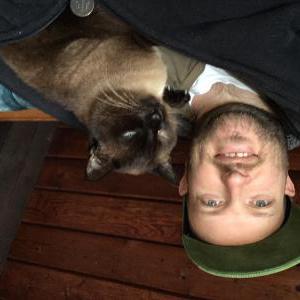 Lost Cat Versailles