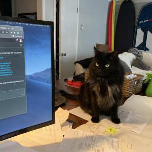 Image of Smoke, Lost Cat