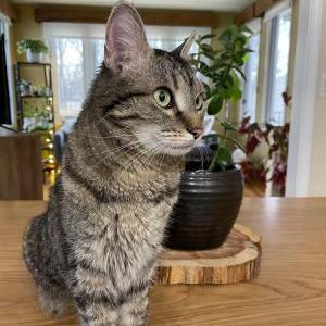 Lost 2 Kiki (IA)