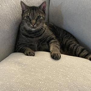 Lost 2 Gibson (FL)