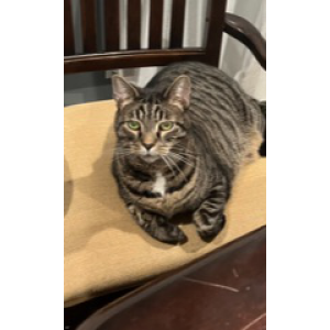 Lost 2 Dean (NY)