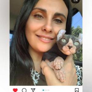 Lost Cat Buddha