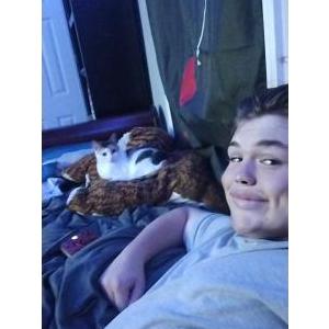 Lost Cat Whiskey