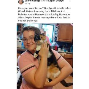 Lost Cat Charlotte