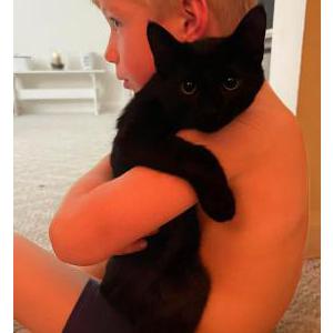 Lost Cat Kosmo