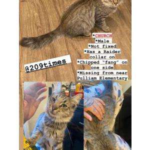 Image of Church, Lost Cat