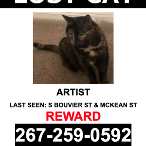 Image of Artist, Lost Cat