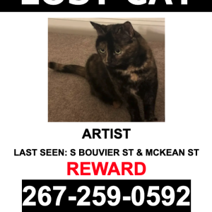 Lost Cat Artist