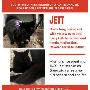 2nd Image of Jett, Lost Cat