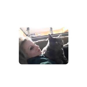 Lost Cat Salvador