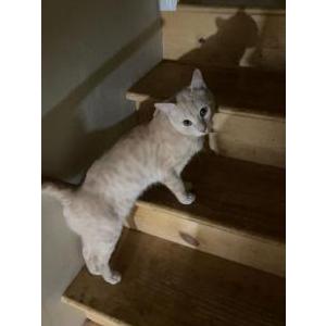Lost 2 Beans (VA)