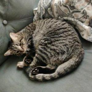 Lost 2 MILO ( MARIO ) (MI)