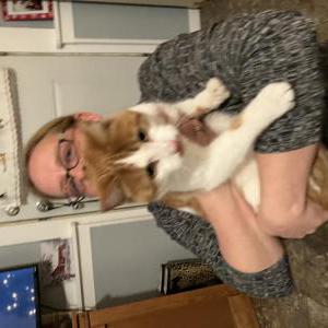 Found Cat Unknown