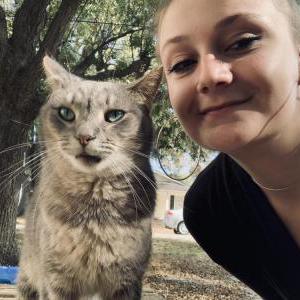 Lost Cat George