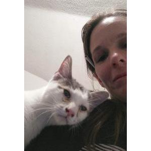 Lost Cat Rj
