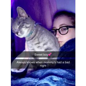 Lost Cat Jughead