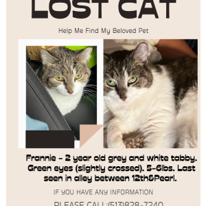 Lost Cat Frannie