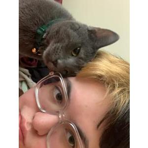 Lost Cat chicago