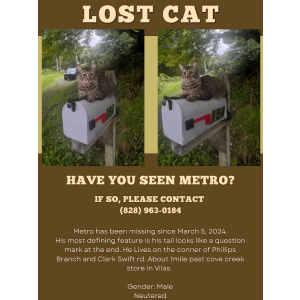 Lost Cat Metro