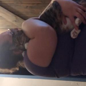 Lost Cat Sprinkles