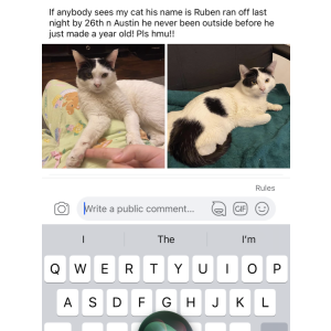 Lost Cat Ruben