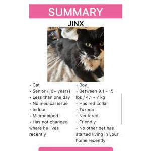 Lost Cat Jinx