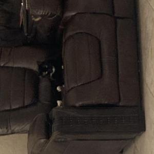 Lost Cat Jade