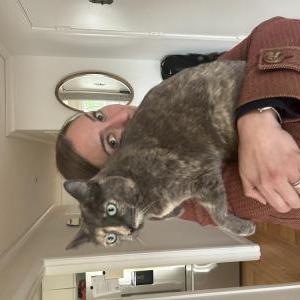 Lost Cat Frankie
