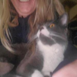Lost Cat Petty