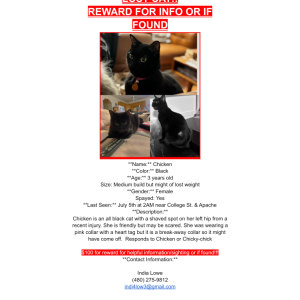 Lost Cat Chicken