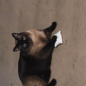 Lost Cat Kenji