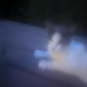 Lost Cat Unknown