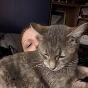 Lost Cat Spazz