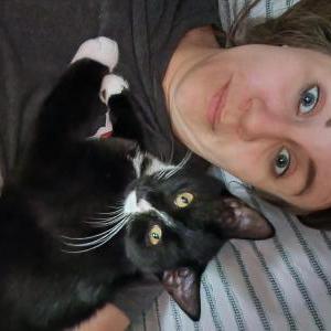 Lost Cat Moose