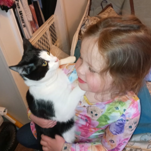 Lost Cat Strawberry