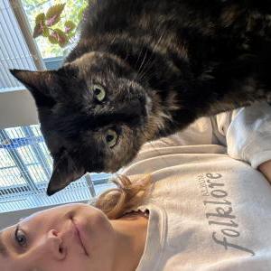 Lost Cat Shmoo