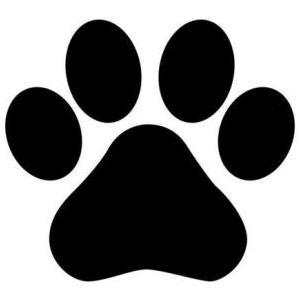Lost Cat Priscilla