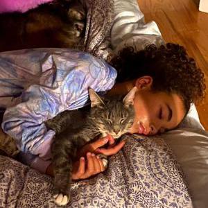 2nd Image of Charlie, Lost Cat