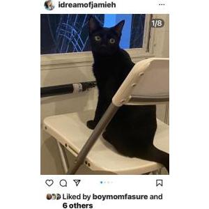 Lost Cat Salem nickname Papa