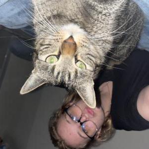 Lost Cat Parker