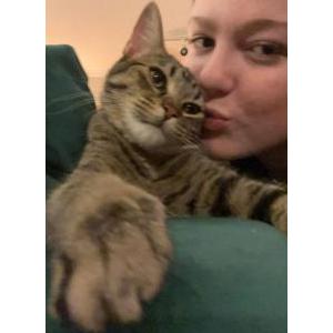 Lost Cat Sparrow