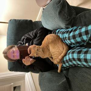Lost Cat Winston