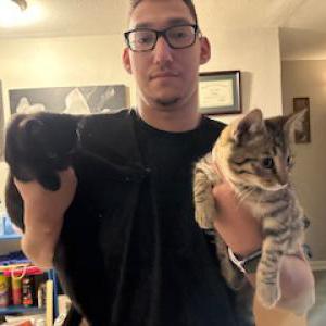 Found Cat unknown